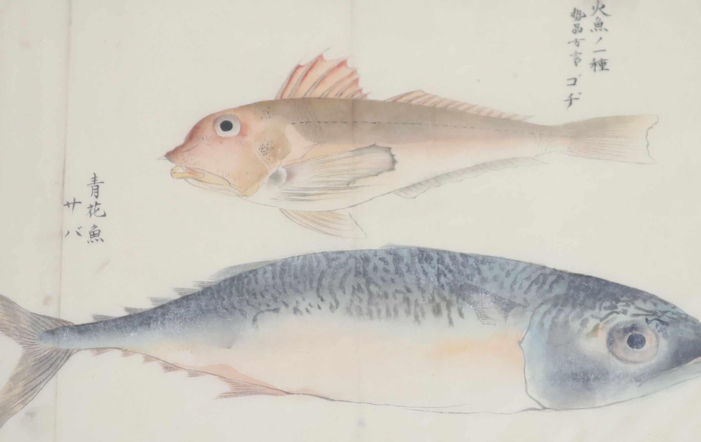Four 19th century Japanese paintings of fish including a skate and a wrasp